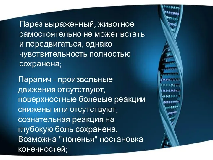 Парез выраженный, животное самостоятельно не может встать и передвигаться, однако чувствительность полностью