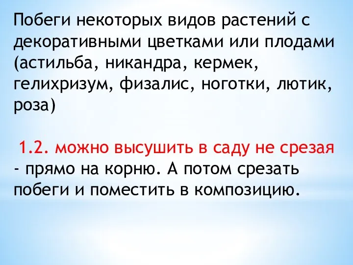 Побеги некоторых видов растений с декоративными цветками или плодами (астильба, никандра, кермек,