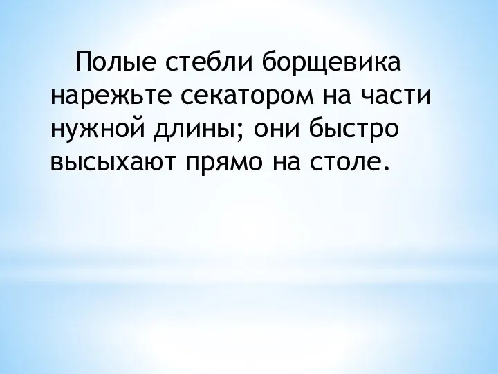 Полые стебли борщевика нарежьте секатором на части нужной длины; они быстро высыхают прямо на столе.