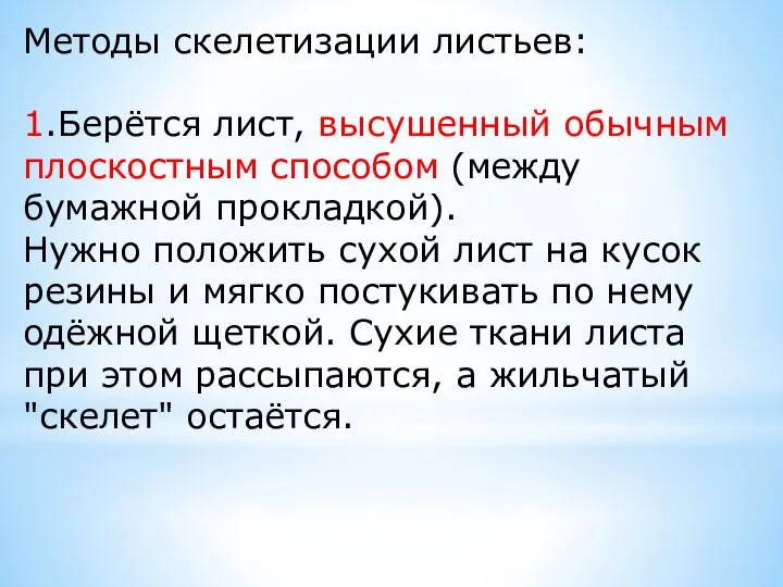 Методы скелетизации листьев: 1.Берётся лист, высушенный обычным плоскостным способом (между бумажной прокладкой).