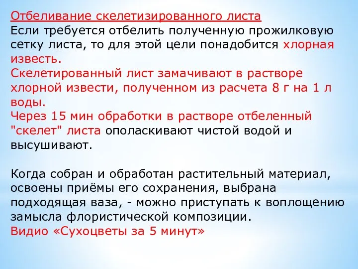 Отбеливание скелетизированного листа Если требуется отбелить полученную прожилковую сетку листа, то для