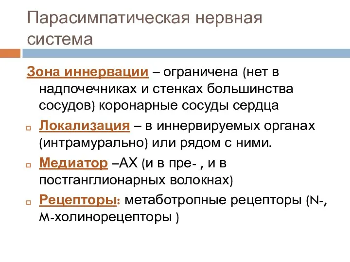 Парасимпатическая нервная система Зона иннервации – ограничена (нет в надпочечниках и стенках