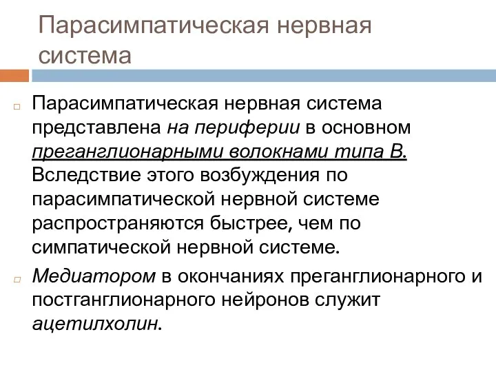 Парасимпатическая нервная система Парасимпатическая нервная система представлена на периферии в основном преганглионарными