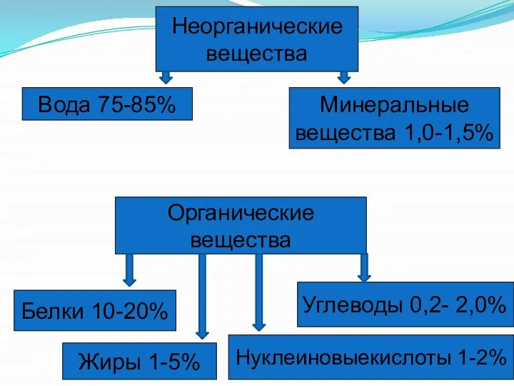 Вода 75-85% Минеральные вещества 1,0-1,5% Белки 10-20% Органические вещества Жиры 1-5% Углеводы