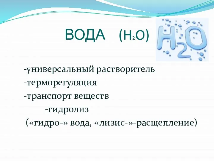 ВОДА (H2O) -универсальный растворитель -терморегуляция -транспорт веществ -гидролиз («гидро-» вода, «лизис-»-расщепление)