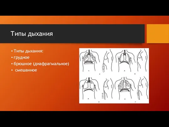 Типы дыхания Типы дыхания: грудное брюшное (диафрагмальное) смешанное