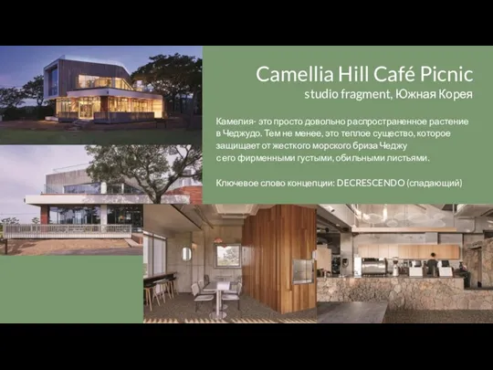 Camellia Hill Café Picnic studio fragment, Южная Корея Камелия- это просто довольно
