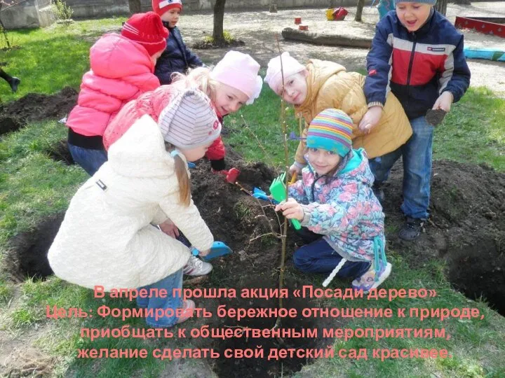 В апреле прошла акция «Посади дерево» Цель: Формировать бережное отношение к природе,