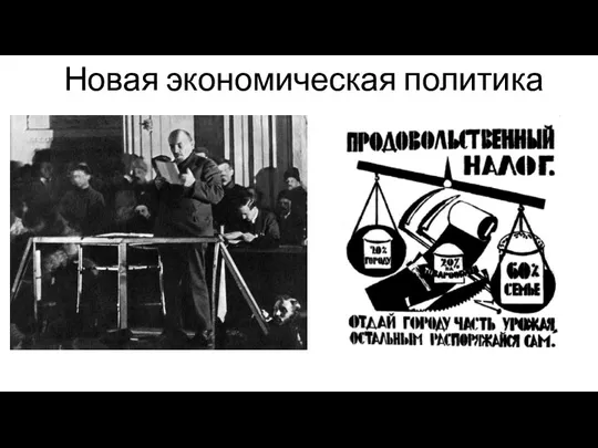 Новая экономическая политика