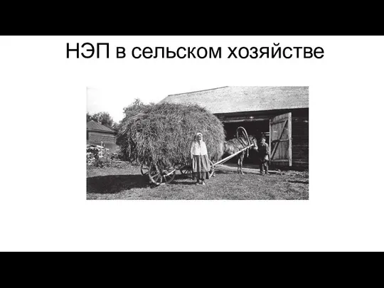 НЭП в сельском хозяйстве