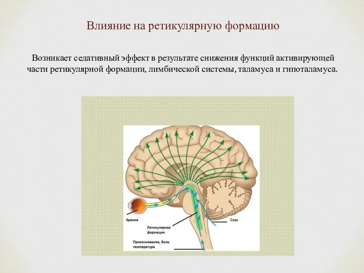 Возникает седативный эффект в результате снижения функций активирующей части ретикулярной формации, лимбической