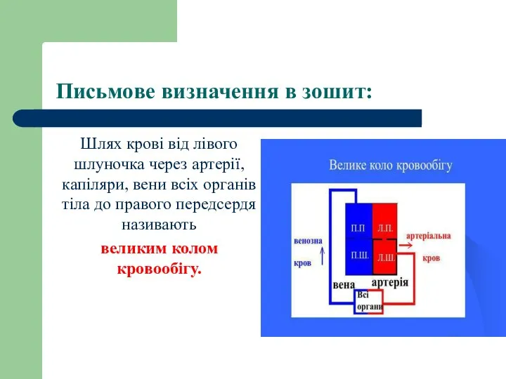 Письмове визначення в зошит: Шлях крові від лівого шлуночка через артерії, капіляри,