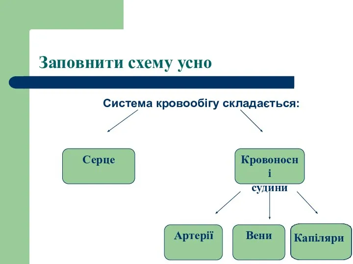 Система кровообігу складається: Заповнити схему усно Серце Кровоносні судини Артерії Вени Капіляри