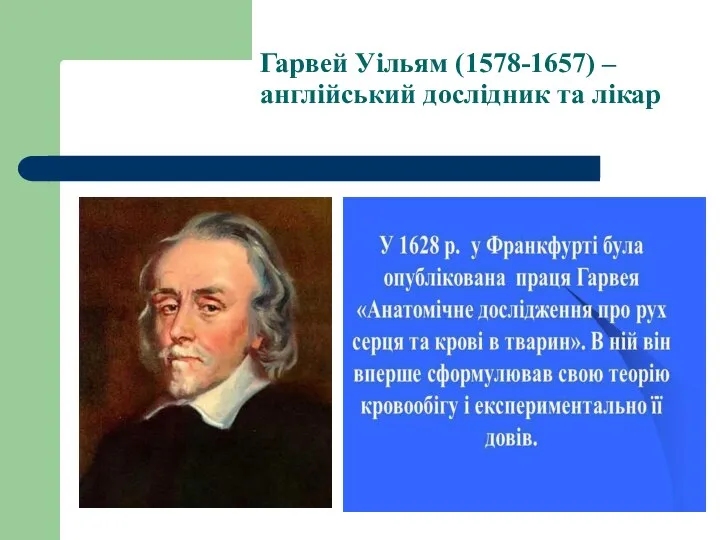 Гарвей Уільям (1578-1657) – англійський дослідник та лікар