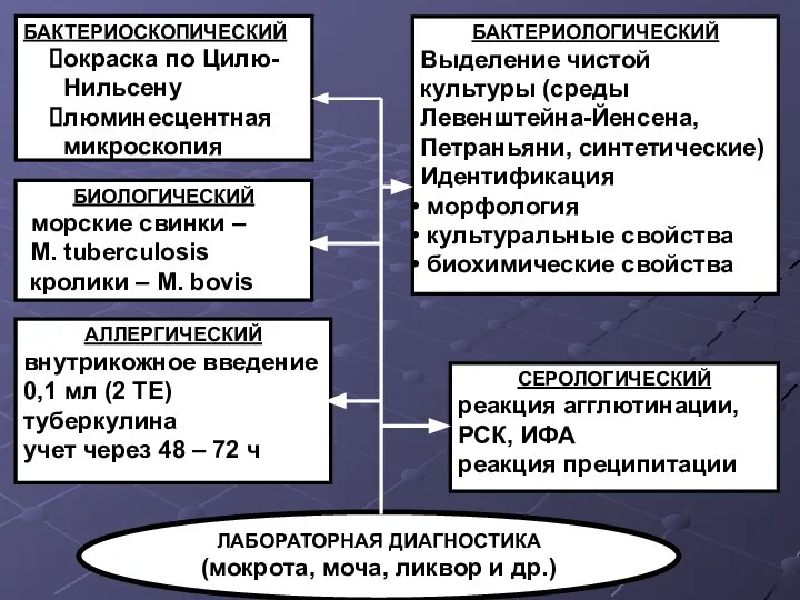 БАКТЕРИОСКОПИЧЕСКИЙ окраска по Цилю-Нильсену люминесцентная микроскопия БАКТЕРИОЛОГИЧЕСКИЙ Выделение чистой культуры (среды Левенштейна-Йенсена,