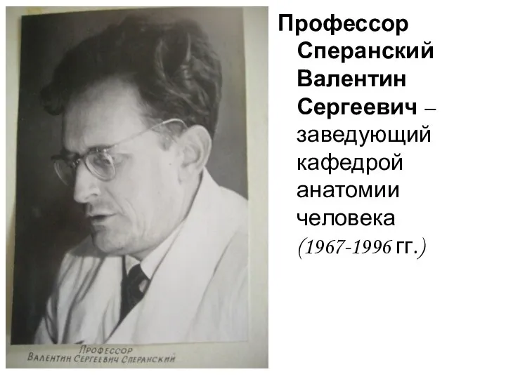 Профессор Сперанский Валентин Сергеевич – заведующий кафедрой анатомии человека (1967-1996 гг.)