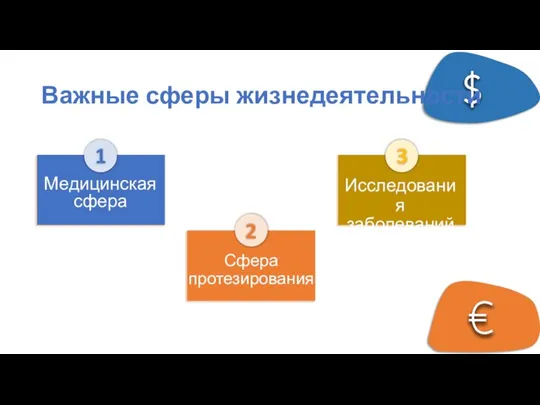 Важные сферы жизнедеятельности 1 Сфера протезирования Исследования заболеваний 3 Медицинская сфера 2