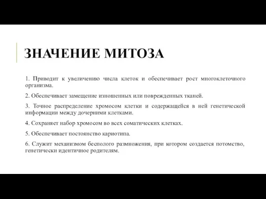 ЗНАЧЕНИЕ МИТОЗА 1. Приводит к увеличению числа клеток и обеспечивает рост многоклеточного