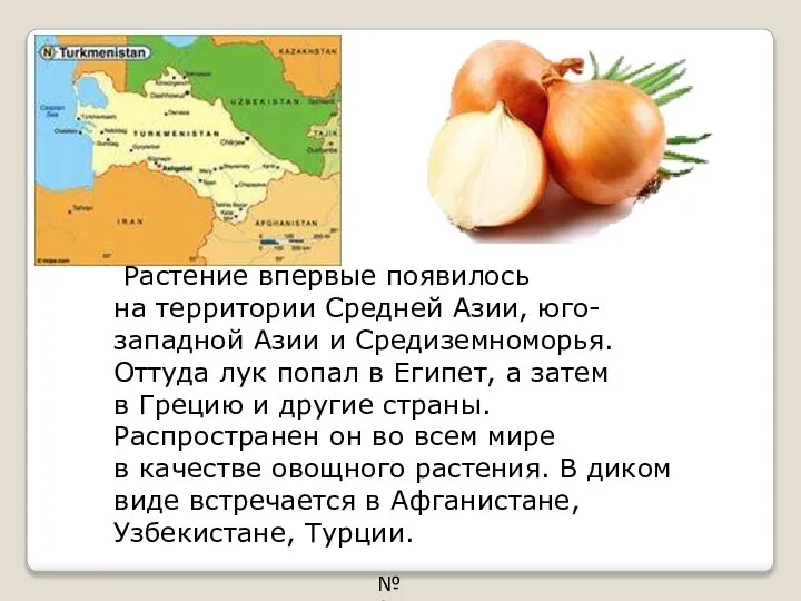 Растение впервые появилось на территории Средней Азии, юго-западной Азии и Средиземноморья. Оттуда