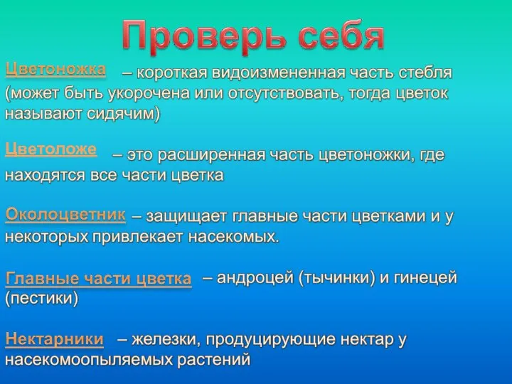 Цветоложе