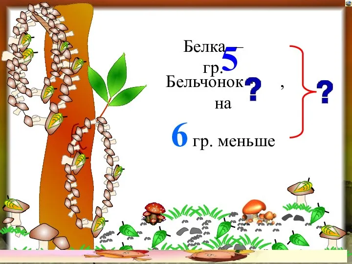 5 Белка – гр. Бельчонок - , на 6 гр. меньше