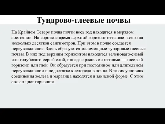 Тундрово-глеевые почвы На Крайнем Севере почва почти весь год находится в мерзлом