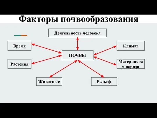 Факторы почвообразования Растения Время Деятельность человека Климат Материнская порода Животные Рельеф ПОЧВЫ