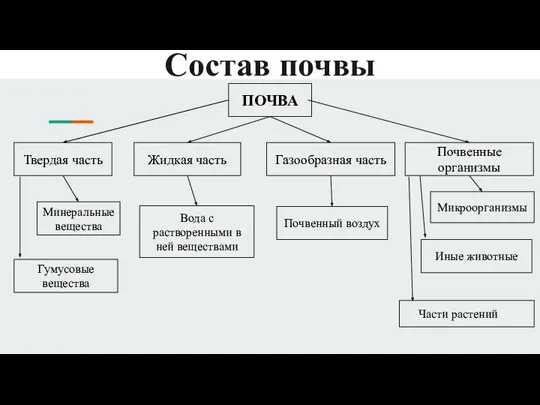 Состав почвы ПОЧВА Твердая часть Жидкая часть Почвенные организмы Газообразная часть Минеральные