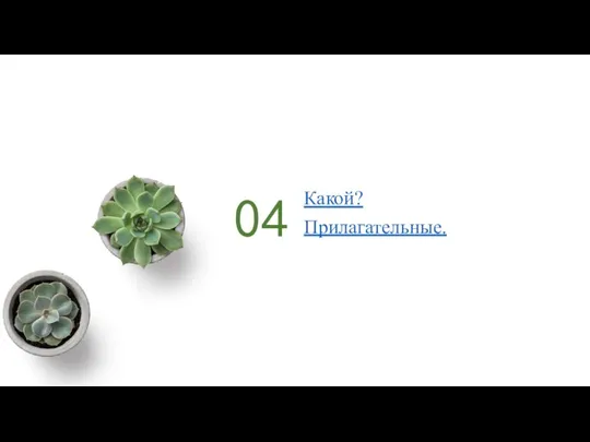 04 Какой? Прилагательные.