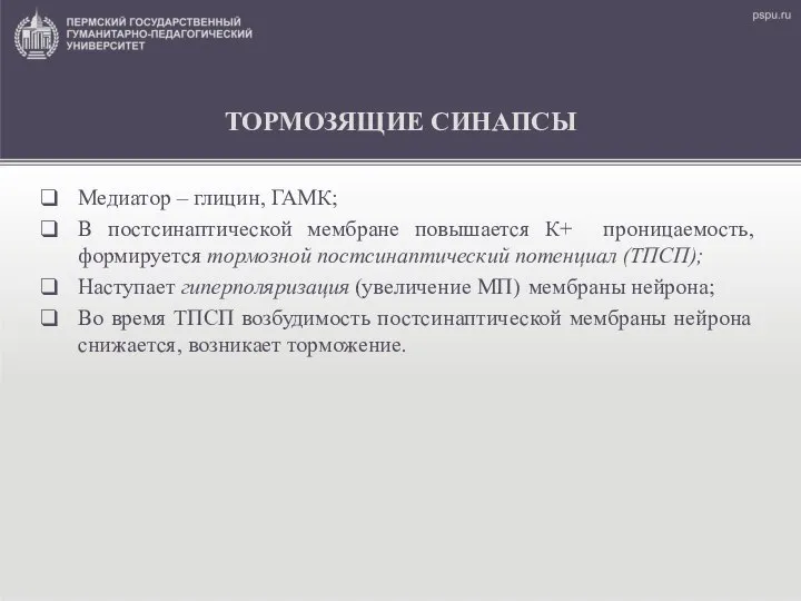 ТОРМОЗЯЩИЕ СИНАПСЫ Медиатор – глицин, ГАМК; В постсинаптической мембране повышается К+ проницаемость,