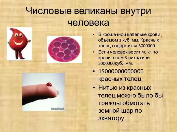 Числовые великаны внутри человека В крошечной капельке крови , объёмом 1 куб.