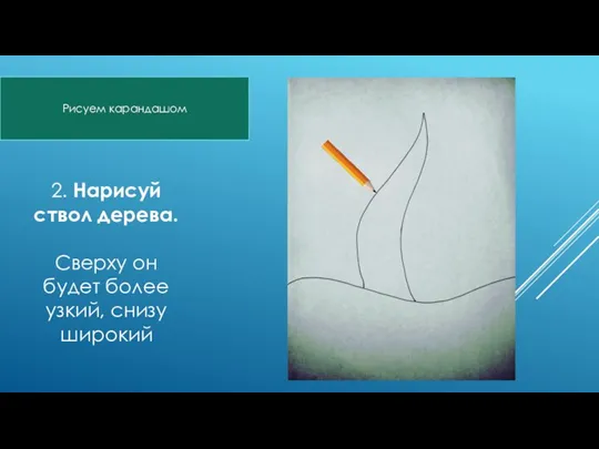 2. Нарисуй ствол дерева. Сверху он будет более узкий, снизу широкий Рисуем карандашом