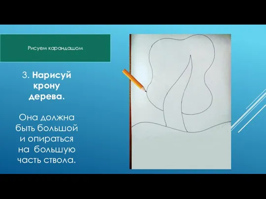 3. Нарисуй крону дерева. Она должна быть большой и опираться на большую часть ствола. Рисуем карандашом