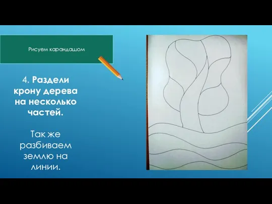 4. Раздели крону дерева на несколько частей. Так же разбиваем землю на линии. Рисуем карандашом