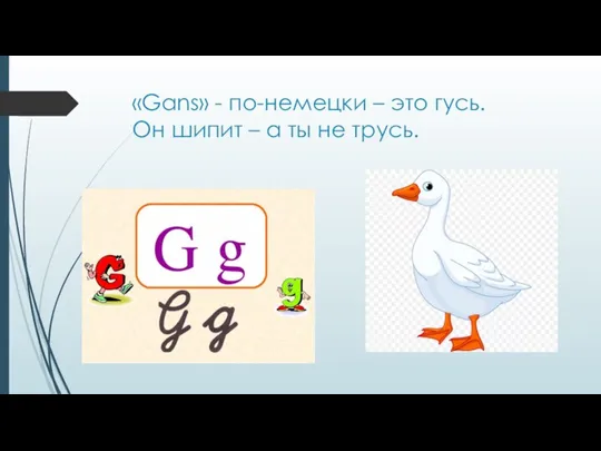 «Gans» - по-немецки – это гусь. Он шипит – а ты не трусь.