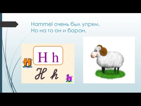 Hammel очень был упрям. Но на то он и баран.