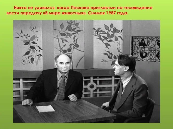Никто не удивился, когда Пескова пригласили на телевидение вести передачу «В мире животных». Снимок 1987 года.