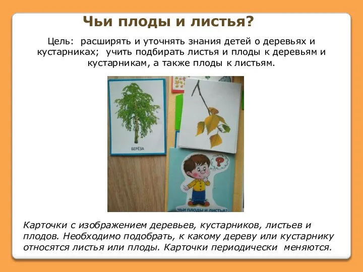 Карточки с изображением деревьев, кустарников, листьев и плодов. Необходимо подобрать, к какому