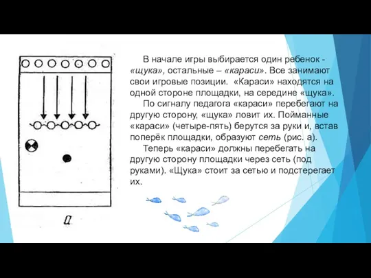 В начале игры выбирается один ребенок - «щука», остальные – «караси». Все