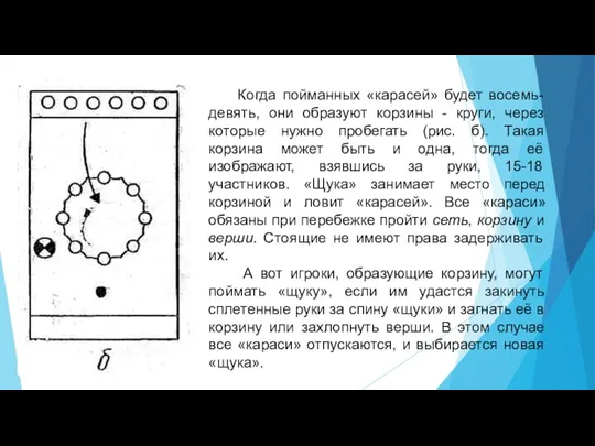 Когда пойманных «карасей» будет восемь-девять, они образуют корзины - круги, через которые