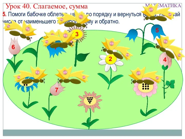 5. Помоги бабочке облететь цветы по порядку и вернуться назад. Называй числа