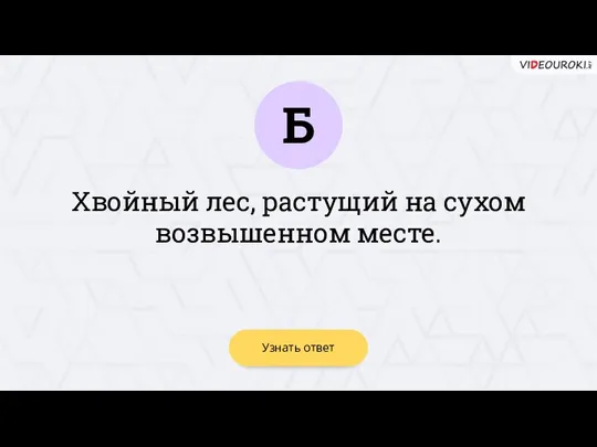 Хвойный лес, растущий на сухом возвышенном месте. Б Узнать ответ