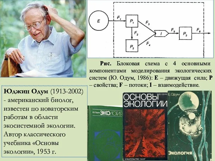 Юджин Одум (1913-2002) - американский биолог, известен по новаторским работам в области