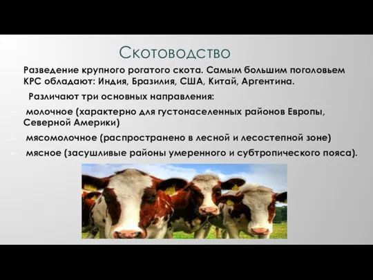 Скотоводство Разведение крупного рогатого скота. Самым большим поголовьем КРС обладают: Индия, Бразилия,