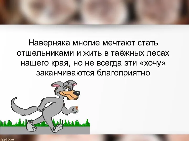 Наверняка многие мечтают стать отшельниками и жить в таёжных лесах нашего края,