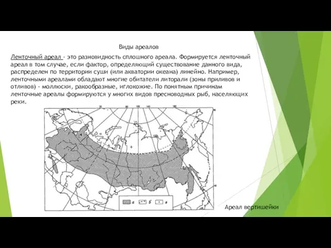 Относительный ареал. Ареал растение. Ареалы растений и типы ареалов. Ленточный ареал. Северная граница ареала.