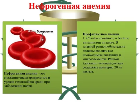 Уменьшение кол во эритроцитов. Продолжительность жизни эритроцитов составляет. Снижения среднего содержания гемоглобина. Снижение гемоглобина и эритроцитов. Продолжительность жизни эритроцитов составляет.
