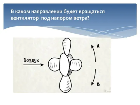 под напором ветра. под напором ветра. штормовое предупреждение. под напором ветра. сильный ветер.