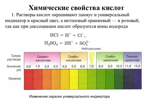 H лакмус. Лакмус в кислоте. Лакмус индикатор. Универсальный индикатор в растворе сильных кислот цвет. Раствор лакмуса.