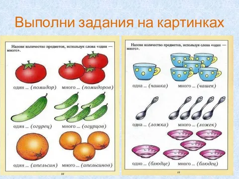 Единственное и множественное число примеры Множественное число презентация